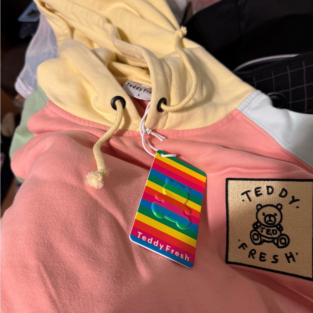 Teddy Fresh Colorblock Hoodie